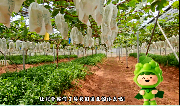 6.png